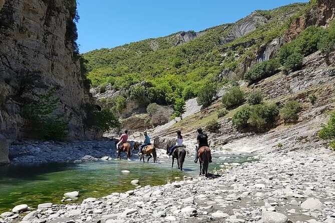 Amazing Horse Riding Experience at Vjosa National Park in Permet - How the $96.79 price compares