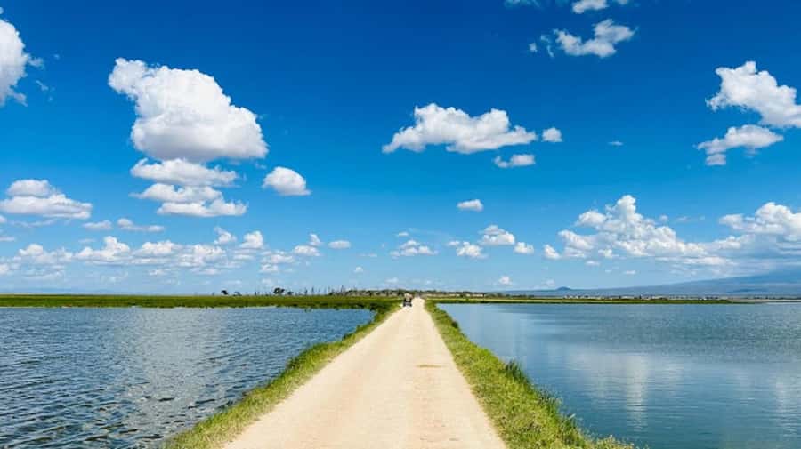 Amboseli National Park Day Trip and Maasai Village Visit - The Maasai village visit and roadside welcome