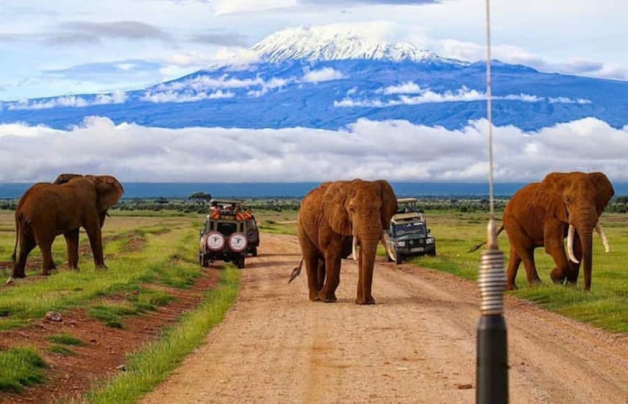 Amboseli National Park Day Trip and Maasai Village Visit - The early start from Nairobi