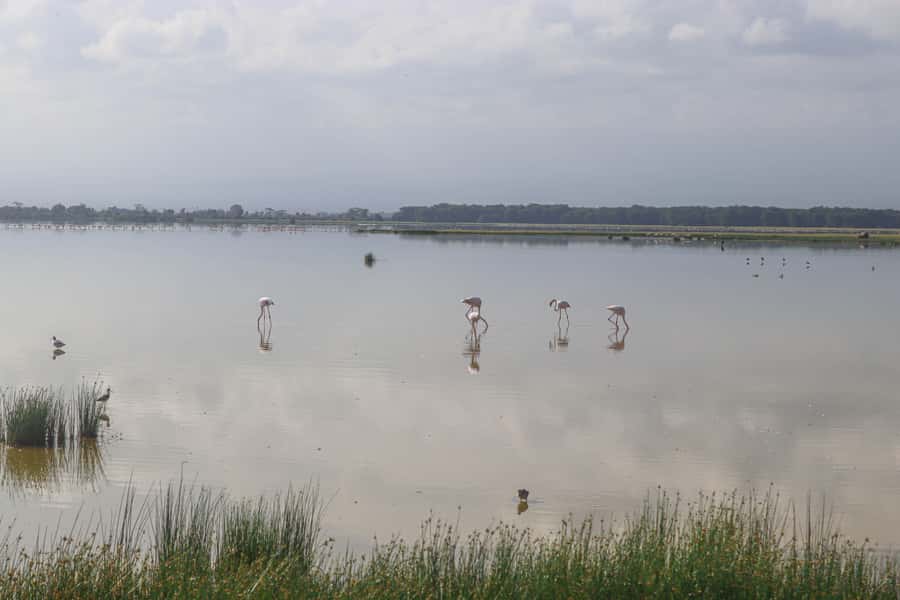 Amboseli National Park: Daytrip from Nairobi in a 4X4 Jeep - Leaving Nairobi before the day gets hot