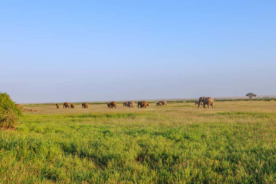 Amboseli National Park: Daytrip from Nairobi in a 4X4 Jeep - The long ride back to Nairobi