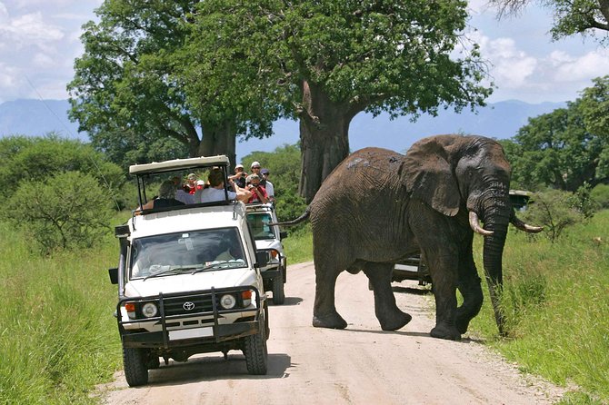 Amboseli National Park: Guided Full Day Tour - Key points to know before you book