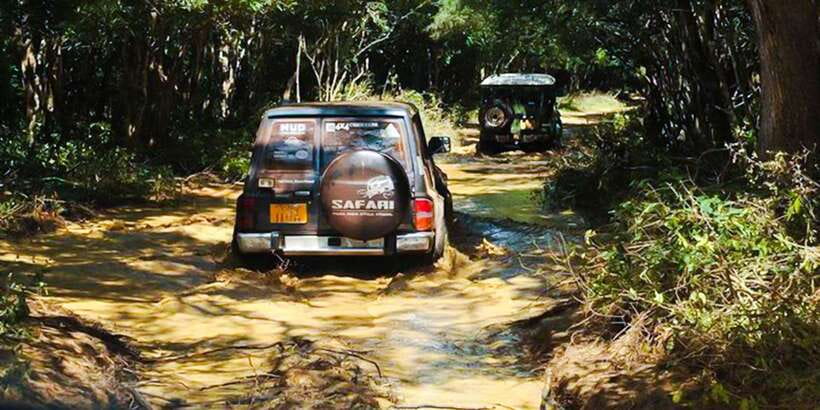 Anuradhapura: Full-Day Wilpattu All Inclusive Private Safari - Practical points for choosing the right day