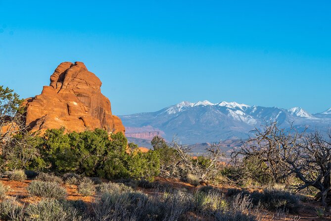 Arches National Park Half Day Tour - Balanced Rock: an easy first look at Arches geology