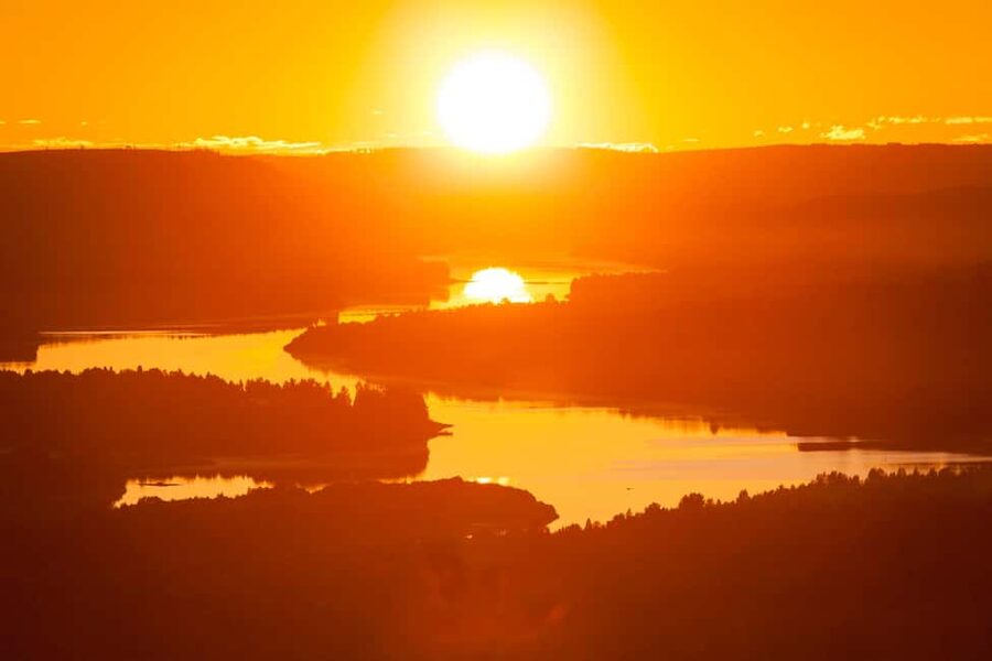 Arctic Wilderness Hike from Rovaniemi (Day & Evening) - Learning to read the forest