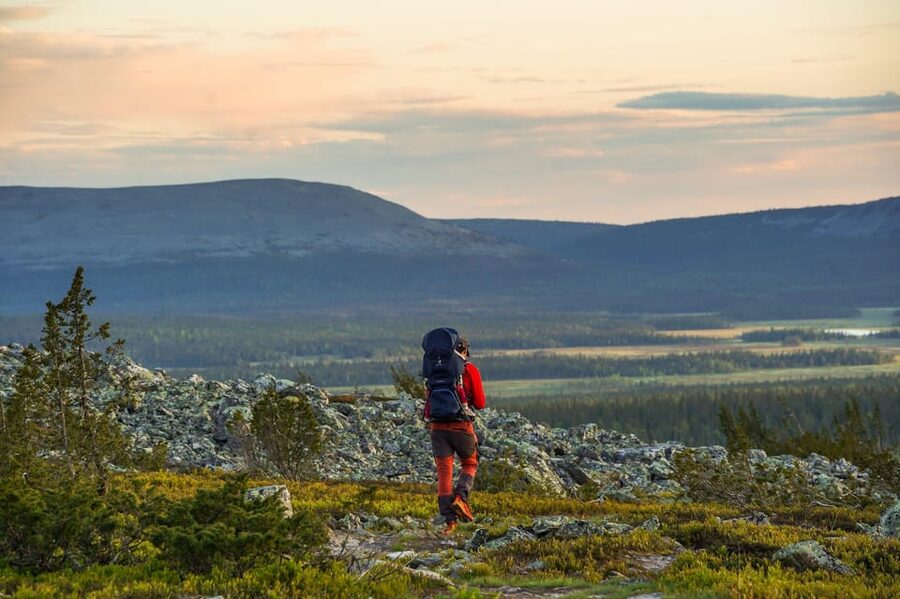 Arctic Wilderness Hike from Rovaniemi (Day & Evening) - Fire-making, sausages, and hot blueberry juice