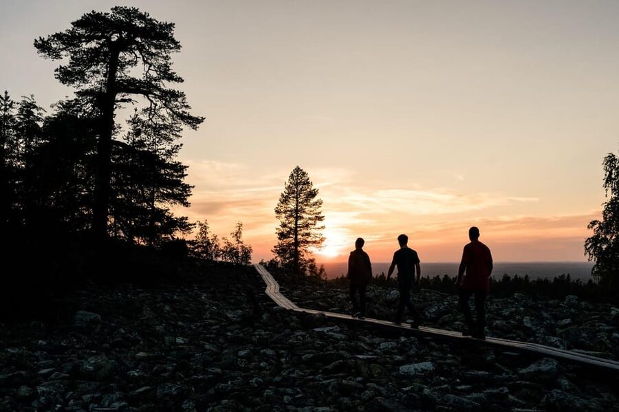 Arctic Wilderness Hike from Rovaniemi (Day & Evening) - What the guides add to the outing