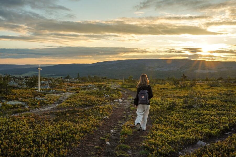 Arctic Wilderness Hike from Rovaniemi (Day & Evening) - Seasonal choices from May through November