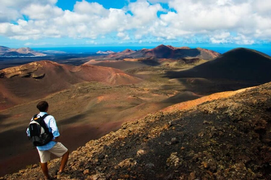 Arrecife/Playa Blanca: Timanfaya National Park Area Day Tour - Key points to know before booking