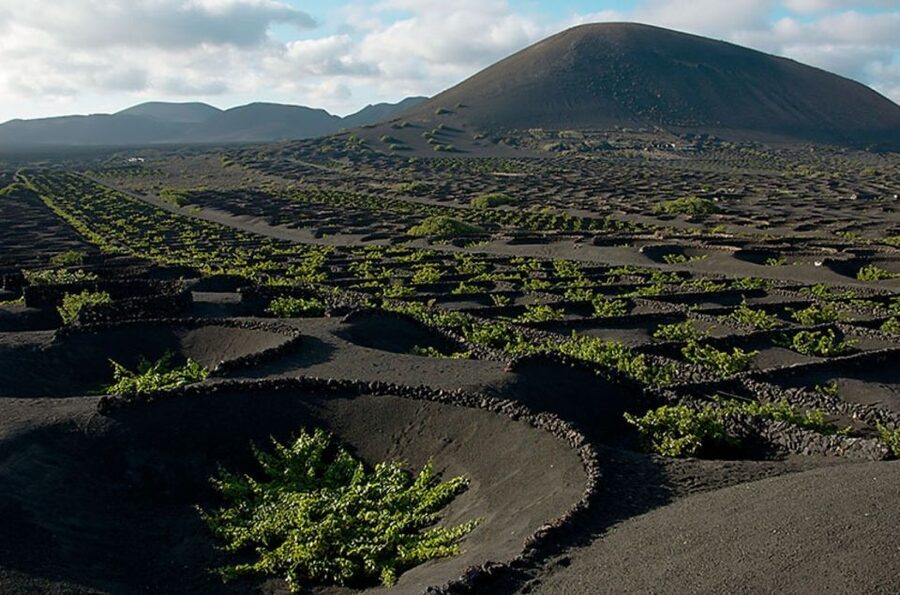 Arrecife/Playa Blanca: Timanfaya National Park Area Day Tour - Islote de Hilario and the famous heat demonstrations