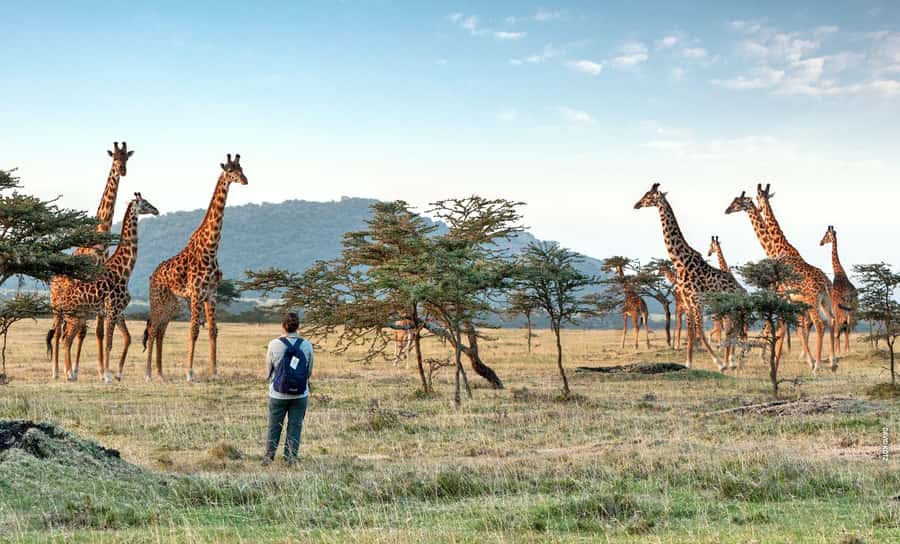 Arusha National Park Day Tour with All-Inclusive - Ngurudoto Crater and the Small Serengeti