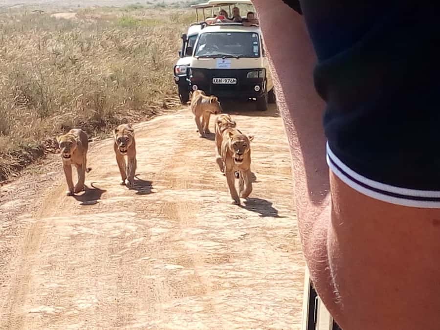 Arusha National Park: Private Jeep Tour - What you are likely to see from the jeep