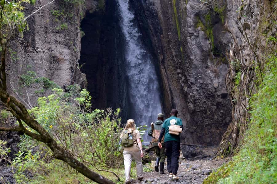 Arusha National Park: Walking Safari and Game Drive - Choosing between the three-hour walk and Mt. Meru base camp