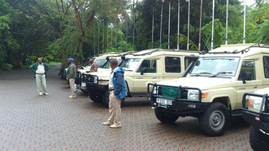 Arusha: Tarangire National Park Full-Day Wildlife Safari - What you might see beyond the elephant herds