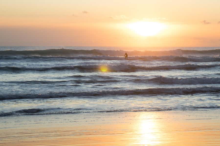 Auckland Private Tour: West Coast Wilderness & Piha Beach - Key points at a glance