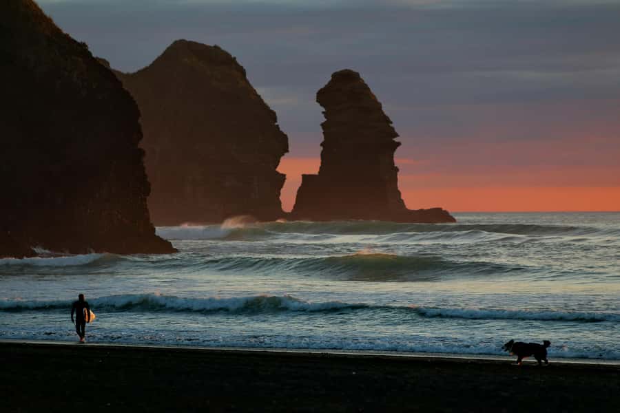 Auckland Private Tour: West Coast Wilderness & Piha Beach - Leaving Auckland for the Waitākere Ranges