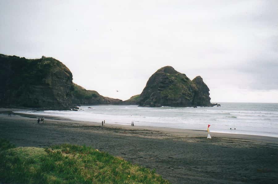 Auckland Private Tour: West Coast Wilderness & Piha Beach - Through the Waitākere Ranges