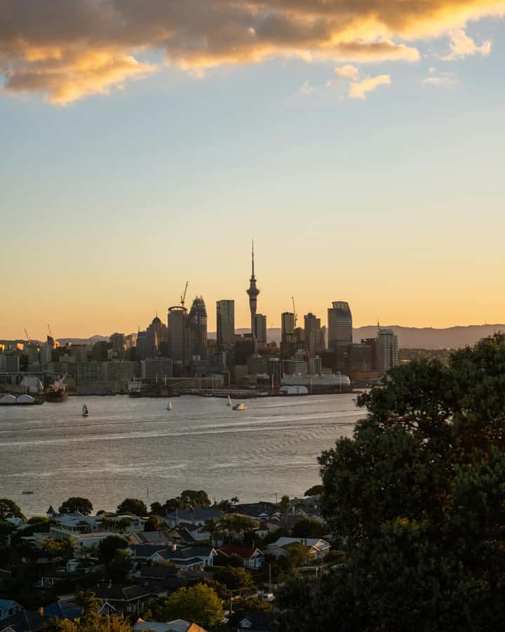 Auckland Private Tour: West Coast Wilderness & Piha Beach - Mercer Bay and extra viewpoint time
