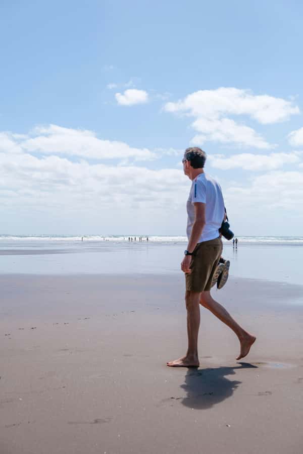 Auckland Private Tour: West Coast Wilderness & Piha Beach - The guides and the private-tour advantage