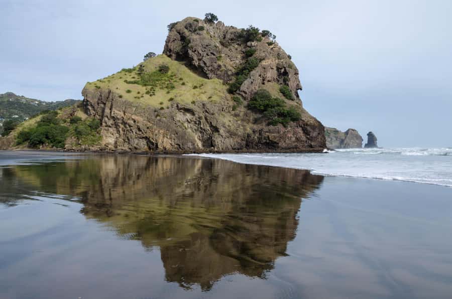 Auckland Private Tour: West Coast Wilderness & Piha Beach - Arataki Visitor Centre: the right first stop