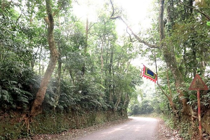 Ba Vi National Park Private Tour: Sightseeings & Jungle Hikking - Why Ba Vi makes a good break from Hanoi