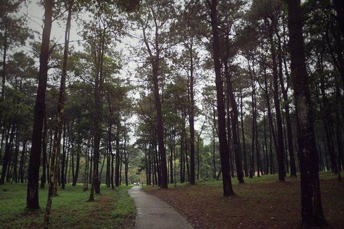Ba Vi National Park Private Tour: Sightseeings & Jungle Hikking - Ngoc Hoa Cave and the advertised jungle hike