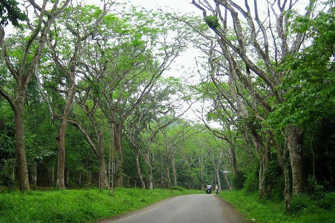 Ba Vi National Park Private Tour: Sightseeings & Jungle Hikking - Is $75 a fair price for this private day?