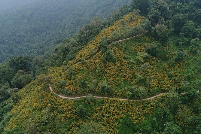 Ba Vi National Park Private Tour: Sightseeings & Jungle Hikking - The French church ruins in the pine forest