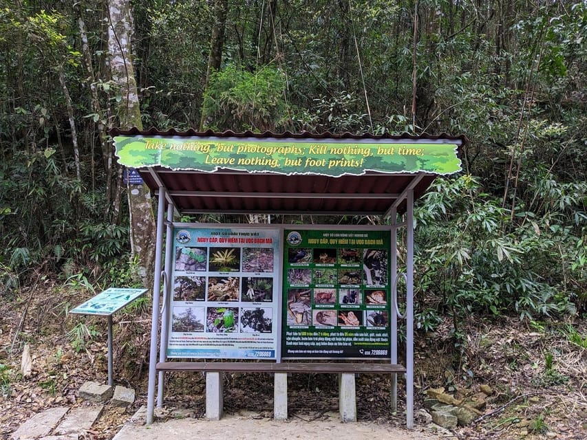 Bach Ma National Park Trekking Tour From Hue/Da Nang/Hoi An - Who should book this Bach Ma experience?
