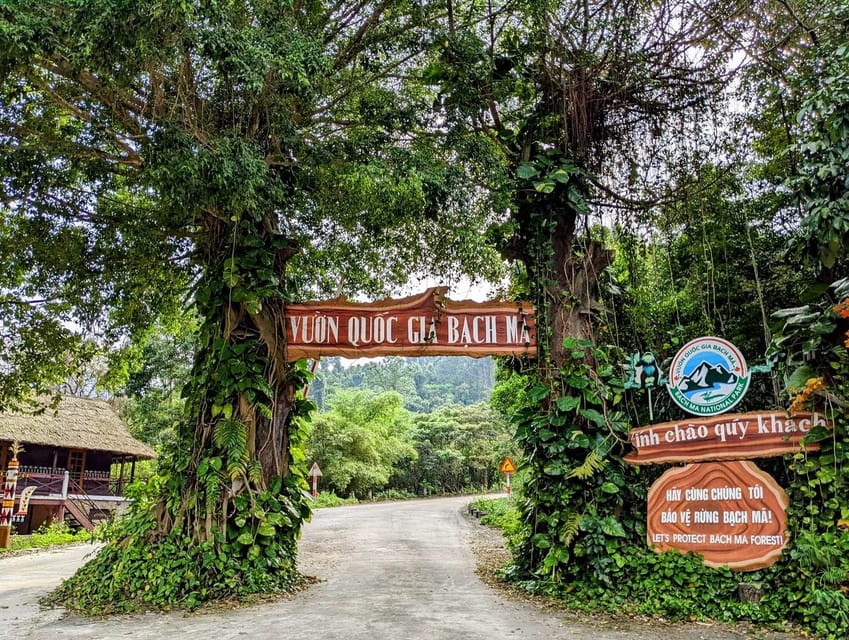 Bach Ma National Park Trekking Tour From Hue/Da Nang/Hoi An - What this Bach Ma day trip actually feels like