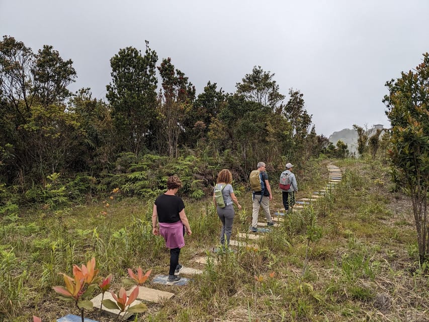 Bach Ma National Park Trekking Tour From Hue/Da Nang/Hoi An - Picnic lunch breaks up the six-hour park visit