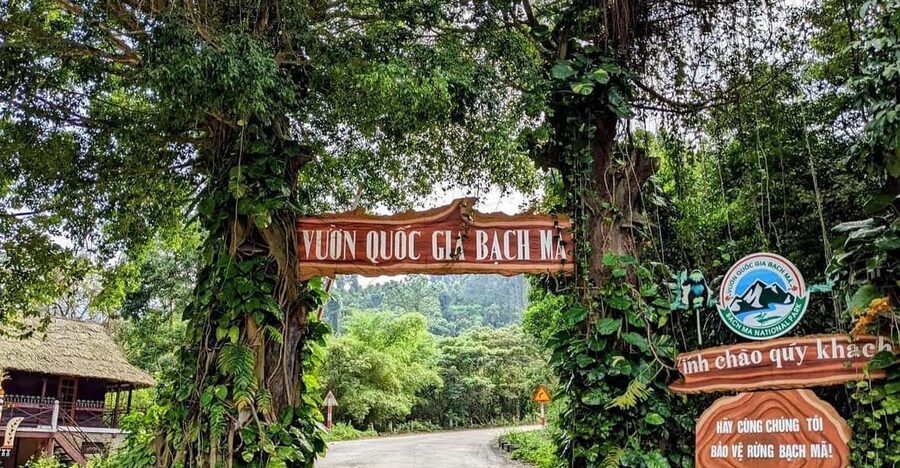 Bach Ma National Park Trekking Tour From Hue/Da Nang/Hoi An - The van ride from Hue, Da Nang, or Hoi An