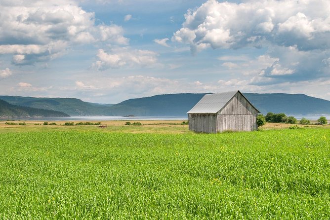 Back Country of the Fjord and the National Park - Who should book this excursion?