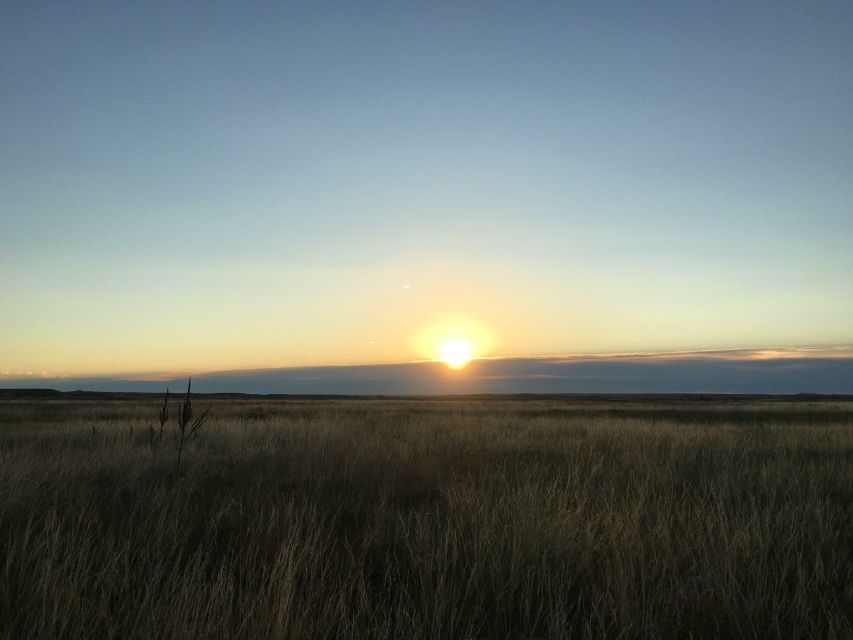 Badlands National Park Private Tour - Wildlife sightings without a promise