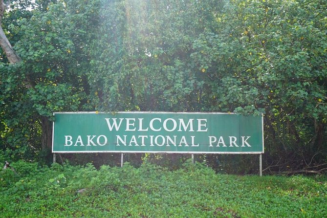 Bako National Park - Walking the rainforest trails