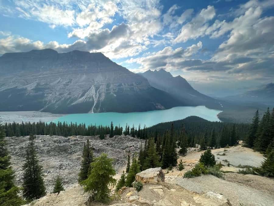 Banff and Jasper National Parks: Tour with Transport - Lake Louise and the changing seasonal plan