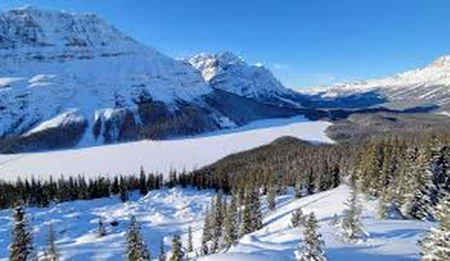 Banff and Jasper National Parks: Tour with Transport - Crowfoot Glacier beside the Icefields Parkway