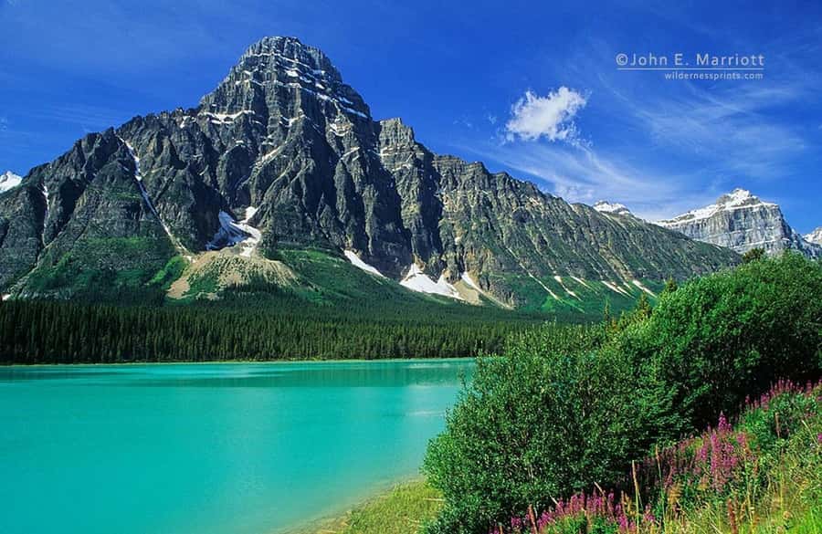 Banff and Jasper National Parks: Tour with Transport - Peyto Lake and the famous turquoise view