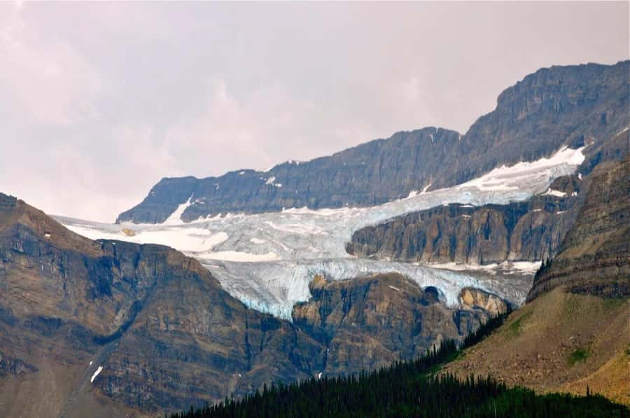 Banff and Jasper National Parks: Tour with Transport - Pickup times and the long road north