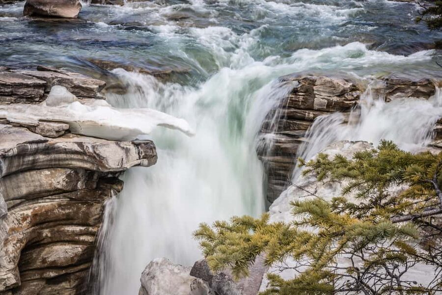 Banff: Explore Banff & Jasper National Parks (4-Days) - What makes this Rocky Mountain trip special