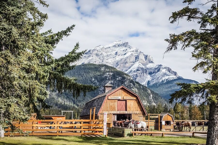 Banff National Park: 1-Hour Bow River Horseback Ride - Key points to know before booking
