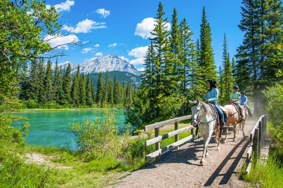 Banff National Park: 1-Hour Bow River Horseback Ride - Along the Bow River and through Banff’s marshes