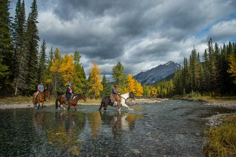 Banff National Park: 1-Hour Spray River Horseback Ride - Practical preparation for a smoother ride