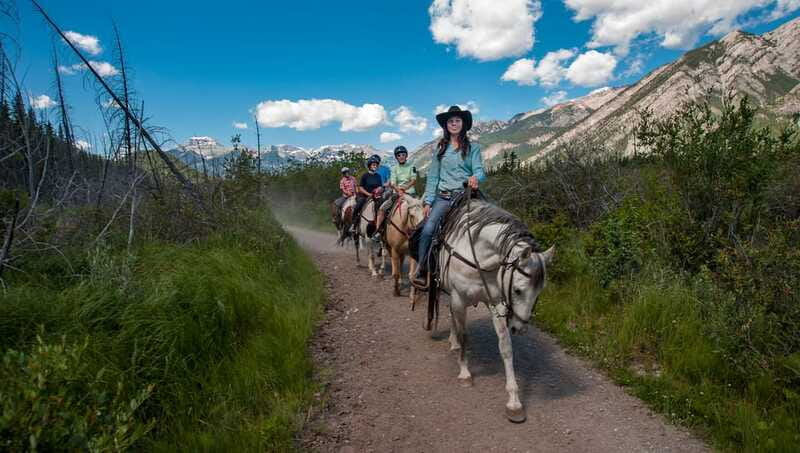 Banff National Park: 2-Hour Sundance Loop Horseback Ride - Meeting the horses and learning to ride