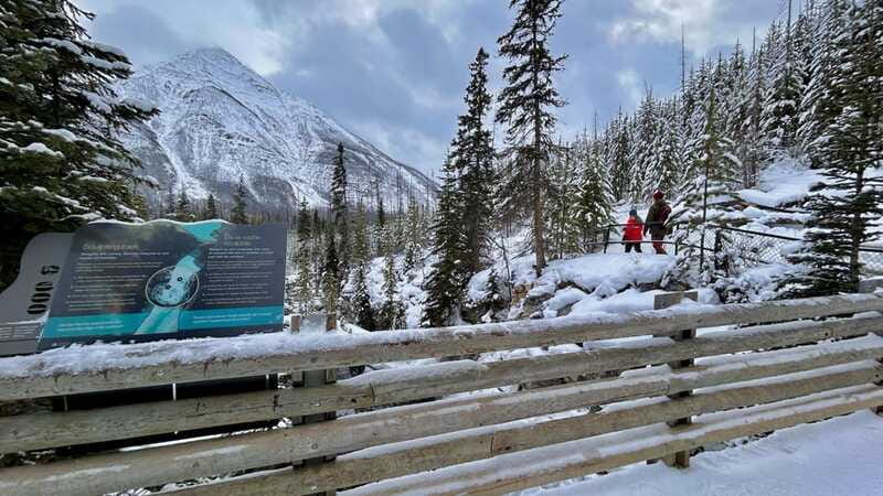 Banff National Park: Canyons, Lakes & Local Favourites - How the small-group format affects your day