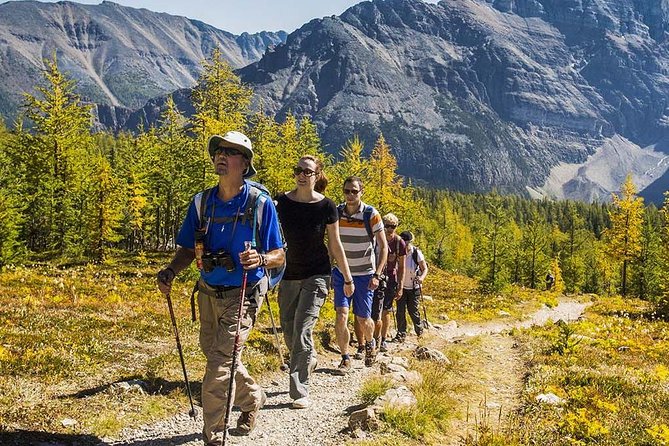 Banff National Park Guided Hike with Lunch - Four trails, four different Banff days