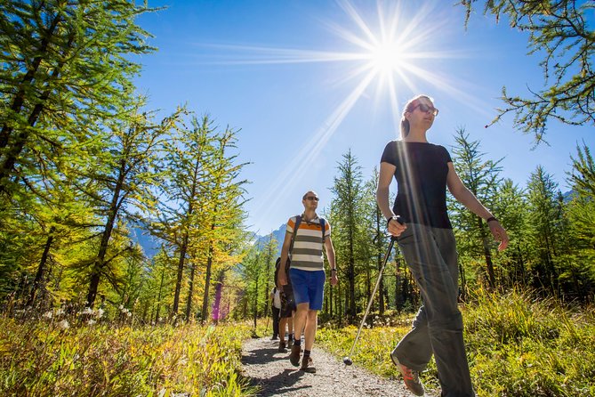 Banff National Park Guided Hike with Lunch - Should you book the Banff guided hike?