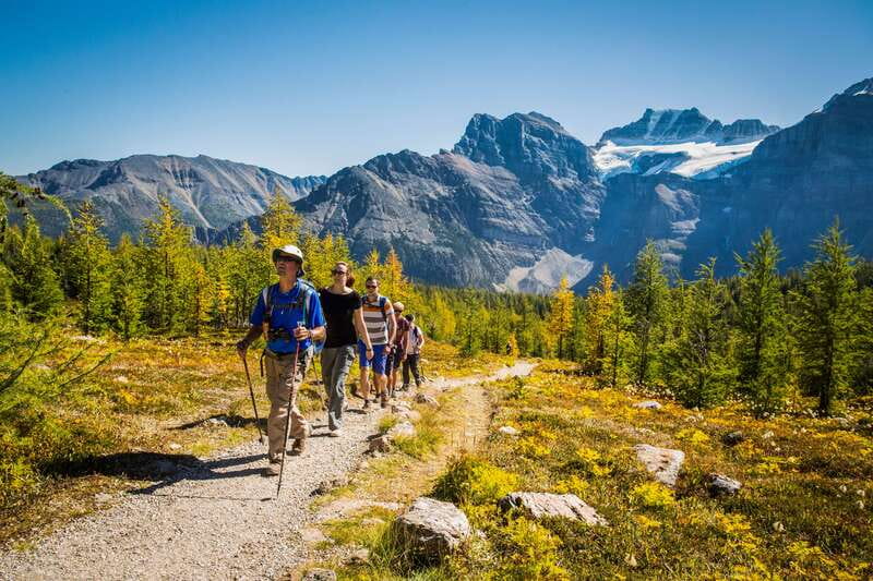 Banff National Park: Guided Signature Hikes with Lunch - Key things to know before booking