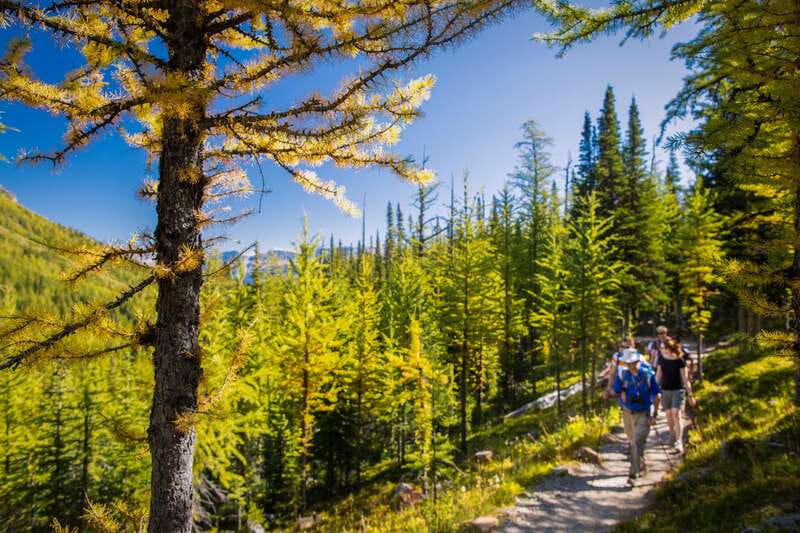 Banff National Park: Guided Signature Hikes with Lunch - Stanley Glacier: fire, fossils, and a wall of ice