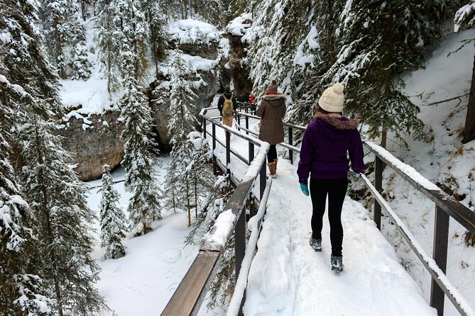 Banff National Park & Lake Louise FULL DAY PRIVATE TOUR - The price, transport, and overall value